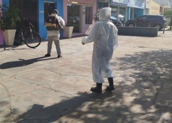 Ilha Solteira registra aumento de casos de chikungunya e reforça alerta à população