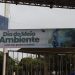 Ação especial na Praça dos Paiaguás marca celebração do Dia do Meio Ambiente