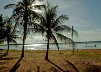 Vereadores defendem instalação de unidade de lazer da AFPESP em Ilha Solteira durante reunião com entidade