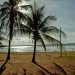Vereadores defendem instalação de unidade de lazer da AFPESP em Ilha Solteira durante reunião com entidade